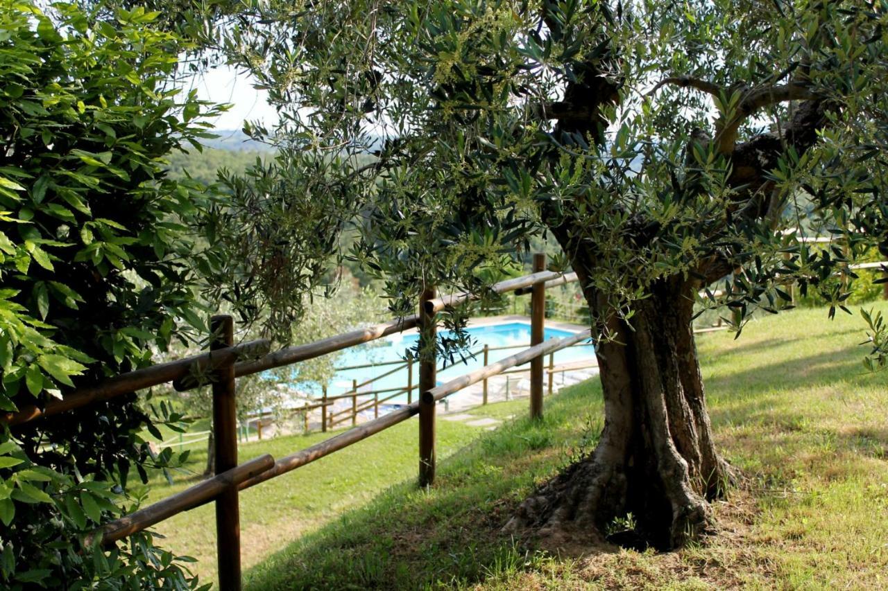 Agriturismo Malagronda Ravigliano ภายนอก รูปภาพ